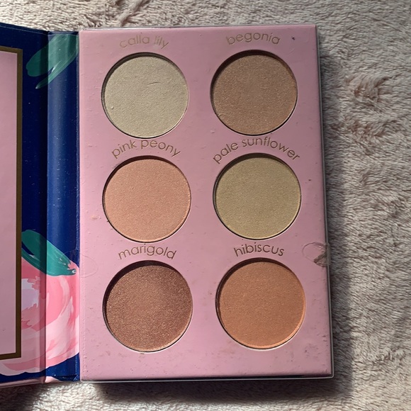 Nicole Miller Highlight Pallete - Picture 2 of 3